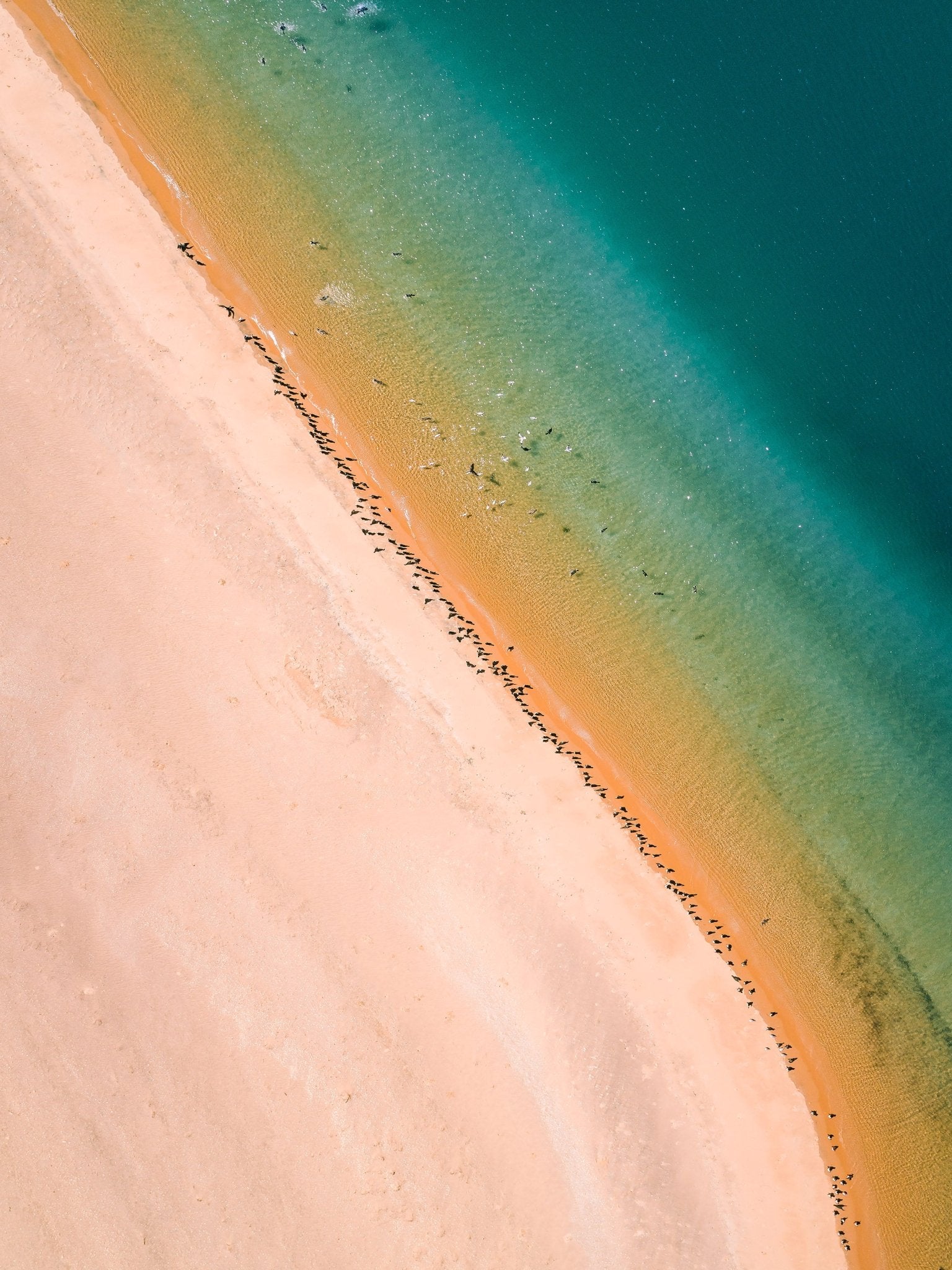 WA_MW_0001 - Cape Peron, Shark Bay - Sand to Summit